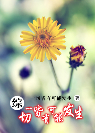 综 一切皆有可能发生 综 一切皆有可能发生