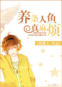 �����������鷳