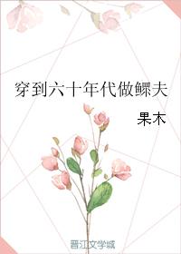 穿到六十年代做鳏夫 穿到六十年代做鳏夫