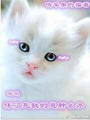 怀了死敌的崽肿么办 怀了死敌的崽肿么办