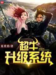 超牛升级系统 超牛升级系统