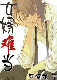 女婿难当 女婿难当