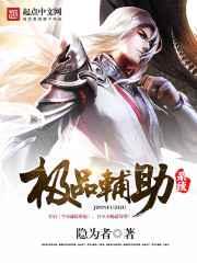 极品辅助系统 极品辅助系统