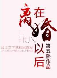 在离婚以后 在离婚以后