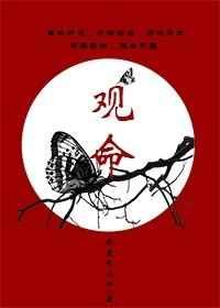 ����[�Ŵ���]�����+������