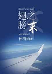 翅膀之末 翅膀之末