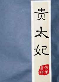 贵太妃 贵太妃