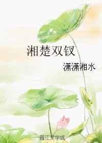 湘楚双钗 湘楚双钗