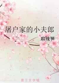 屠户家的小夫郎 屠户家的小夫郎