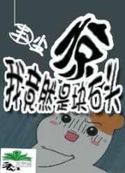 惊!我竟然是块石头 惊!我竟然是块石头