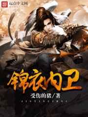 锦衣内卫 锦衣内卫