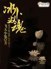 冰卜双魂 冰卜双魂