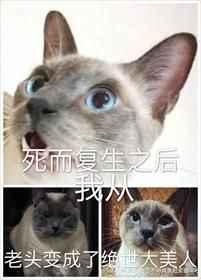 死而复生之后我从老头变成了绝世大美人 死而复生之后我从老头变成了绝世大美人