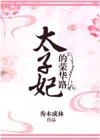 太子妃的荣华路 太子妃的荣华路