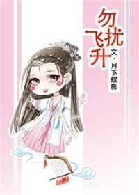 勿扰飞升 勿扰飞升