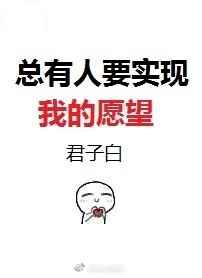 总有人要实现我的愿望 总有人要实现我的愿望