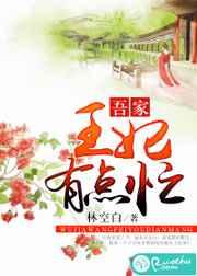 吾家王妃有点忙 吾家王妃有点忙