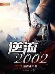 逆流2002 逆流2002