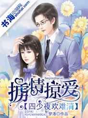 掳情掠爱:四少夜欢难消 掳情掠爱:四少夜欢难消