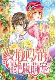 龙四少的绝版萌宠 龙四少的绝版萌宠