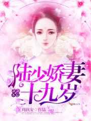 念念不忘:陆少娇妻十九岁 念念不忘:陆少娇妻十九岁