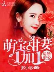 暖婚蜜爱:萌宝甜妻1加1 暖婚蜜爱:萌宝甜妻1加1