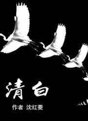 清白 清白