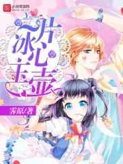 一片冰心玉壶 一片冰心玉壶