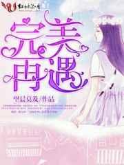 完美再遇 完美再遇