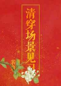 清穿场景见习 清穿场景见习