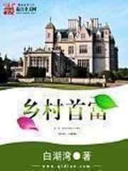 乡村首富 乡村首富