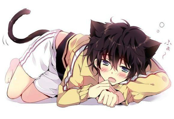 爸爸的脔宠 爸爸的脔宠