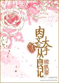 肉文大手从良记 肉文大手从良记