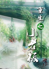 重生之小老板 重生之小老板