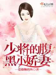 少将的腹黑小娇妻 少将的腹黑小娇妻