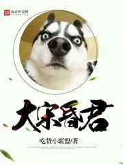 大宋昏君 大宋昏君