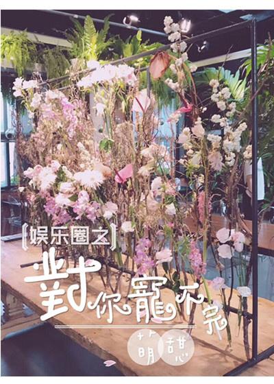 对你宠不完(娱乐圈) 对你宠不完(娱乐圈)