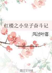 ��¥֮С���ӷܶ���