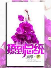 重生之撩到总统