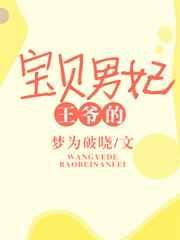 王爷的宝贝男妃 王爷的宝贝男妃