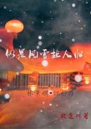 似是风雪故人归 似是风雪故人归