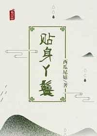 贴身丫鬟 贴身丫鬟