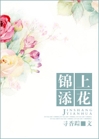 锦上添花 锦上添花