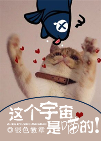 这个宇宙是喵的! 这个宇宙是喵的!