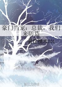 豪门当宠:总裁,我们来防盗 豪门当宠:总裁,我们来防盗