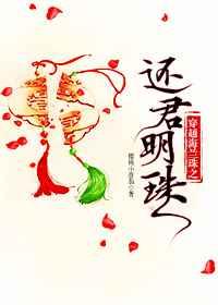 穿越海兰珠之还君明珠 穿越海兰珠之还君明珠
