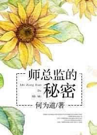 师总监的秘密 师总监的秘密