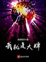 我就是大牌 我就是大牌