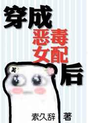 穿成恶毒女配后 穿成恶毒女配后
