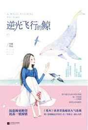 逆光飞行的鲸 逆光飞行的鲸